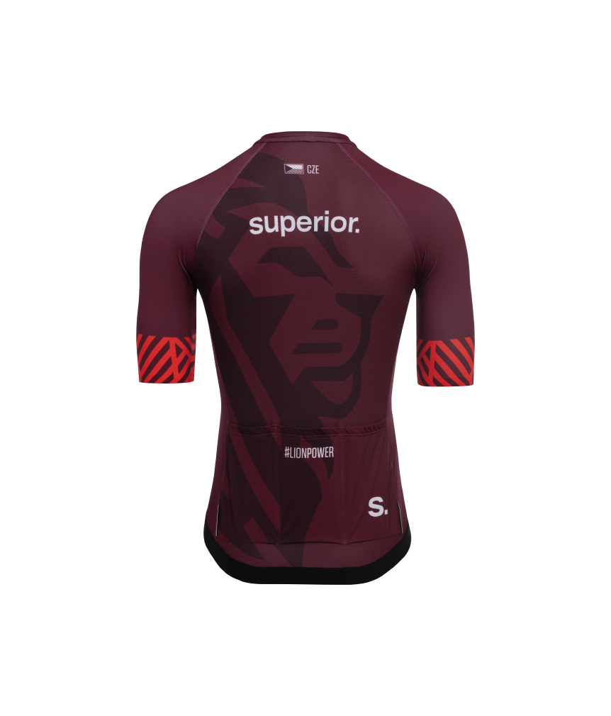 SUPERIOR LIONS 24 | Jersey